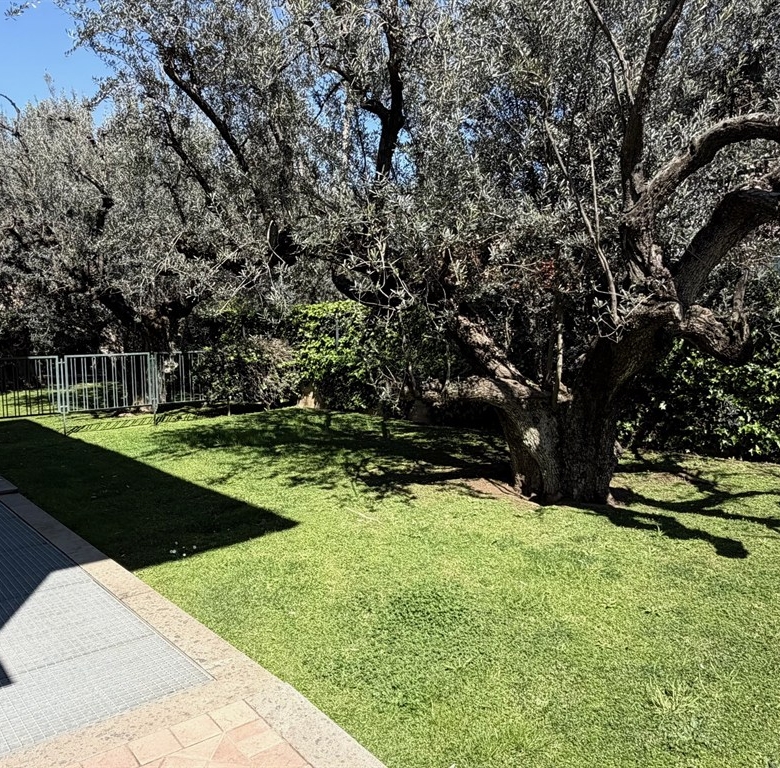 780