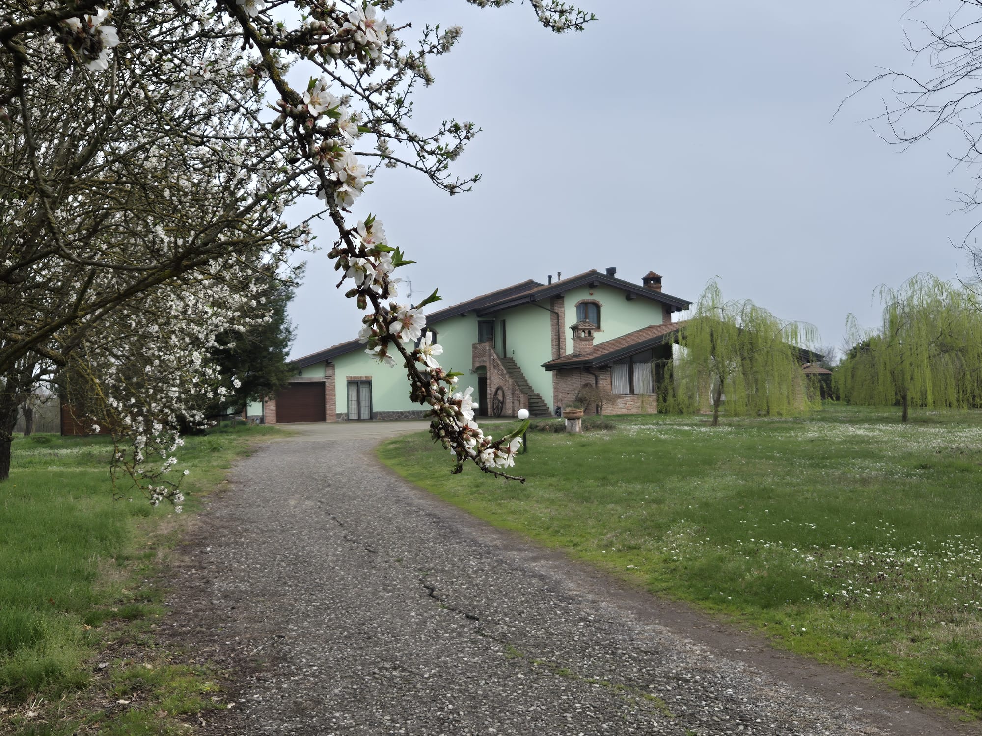 IMG-20260525-WA0001